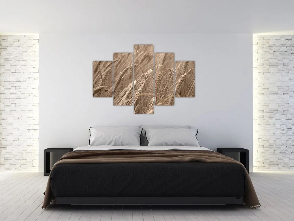 Tablou - Câmpul de aur (150x105 cm)