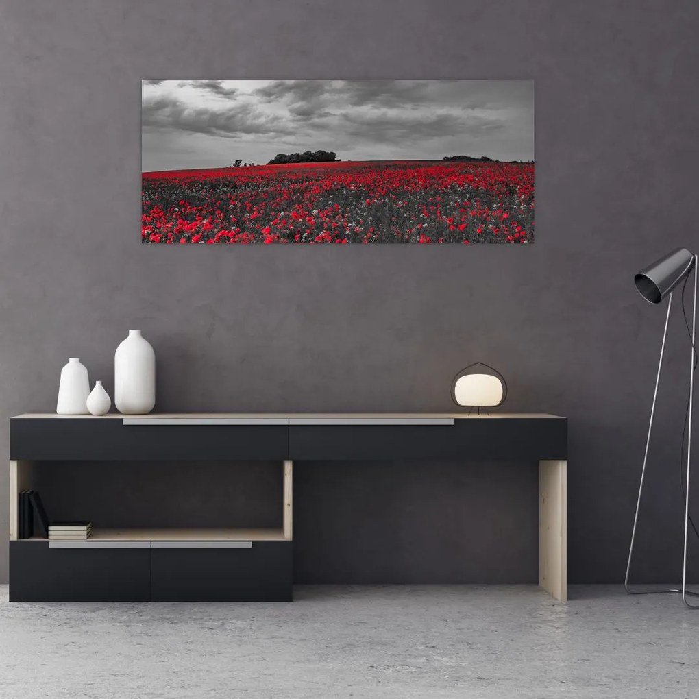 Tablou cu maci (120x50 cm)