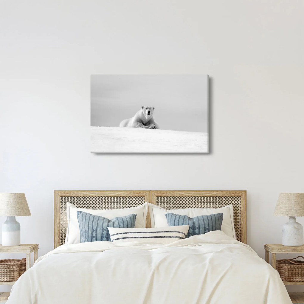 Tablou - Urs polar,alb-negru (90x60 cm)