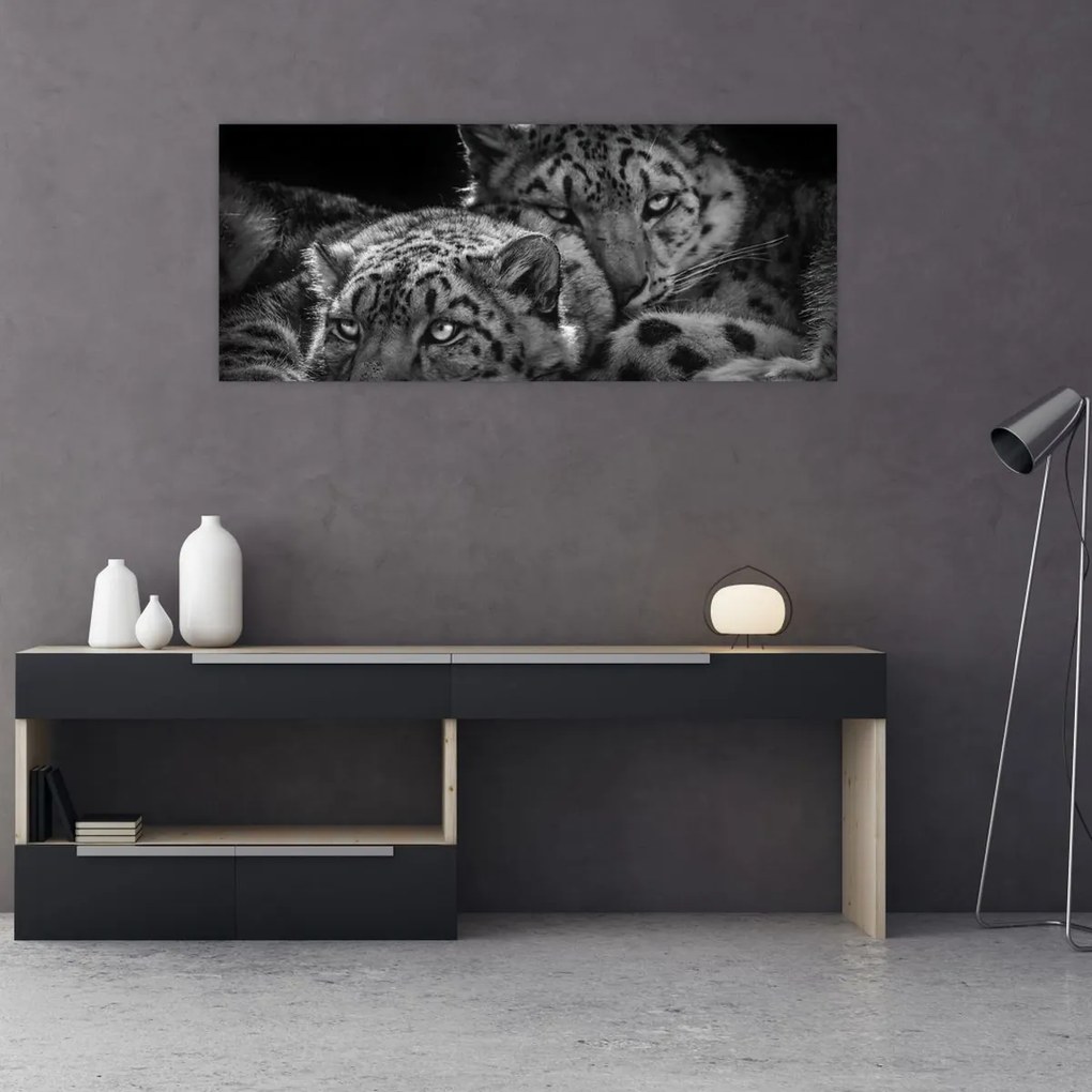 Tablou - Gheparzi care se odihnesc (120x50 cm)