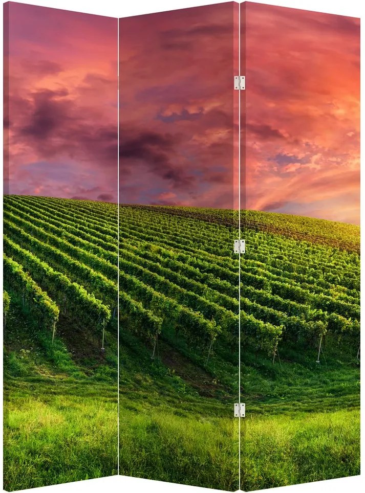 Paravan - Vie cu cerul color (126x170 cm)