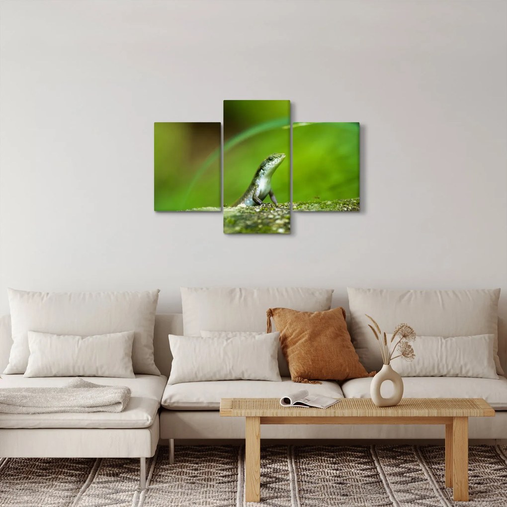Tablou cu șopârlă (90x60 cm)
