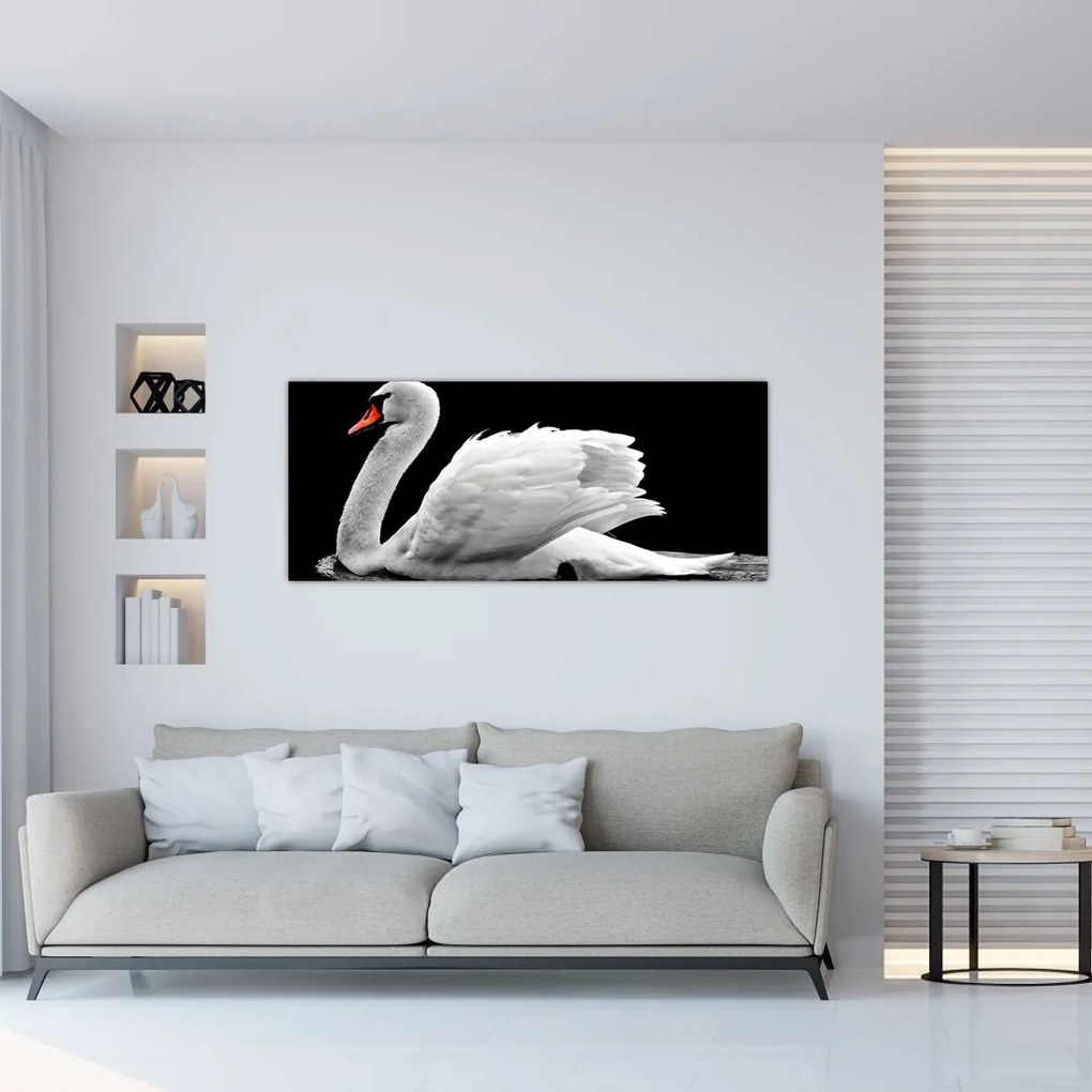 Tablou cu lebăda alb neagră (120x50 cm)