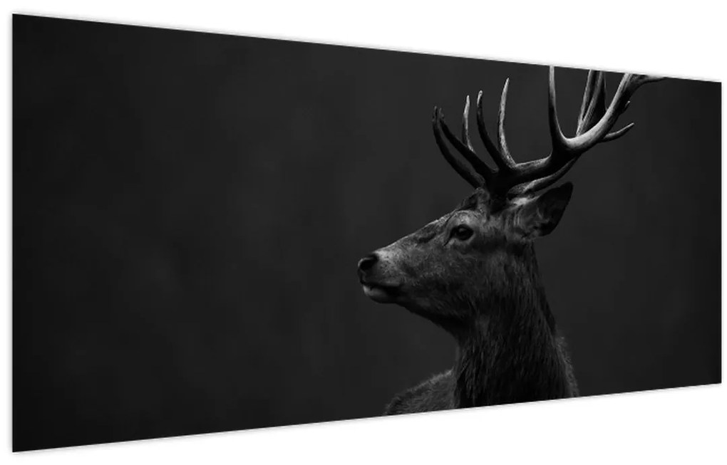 Tablou - Portret de căprioară (120x50 cm)