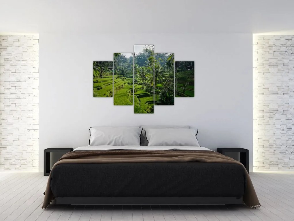 Tablou cu terasele cu orez Tegalalang, Bali (150x105 cm)