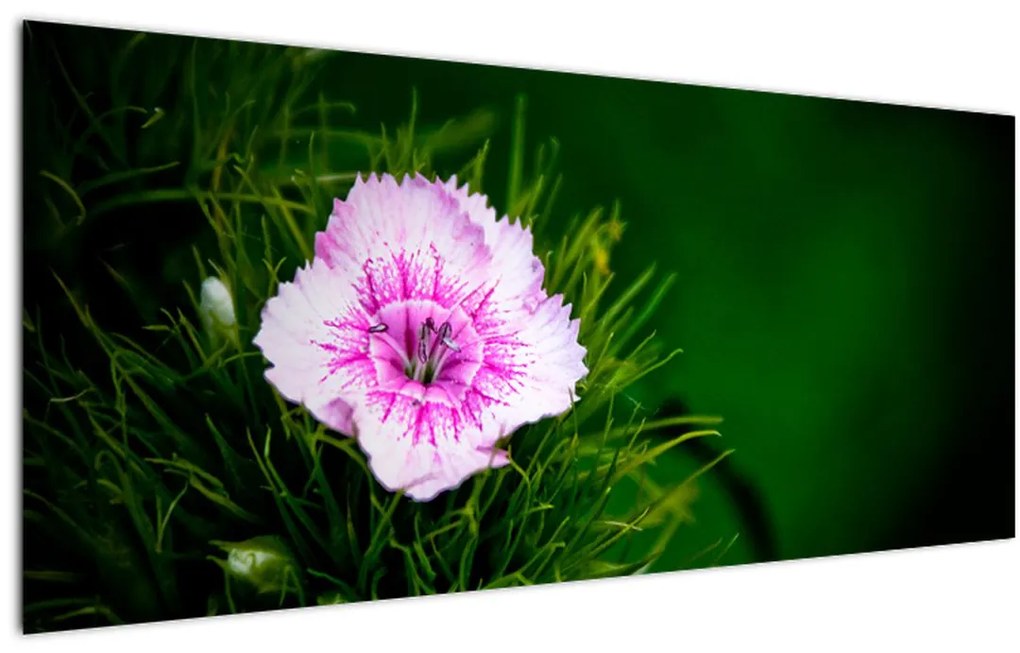 Tablou cu floare roz (120x50 cm)