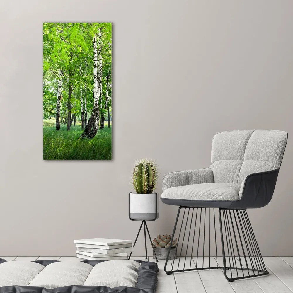 Imprimare tablou canvas Pădurea de mesteacăn