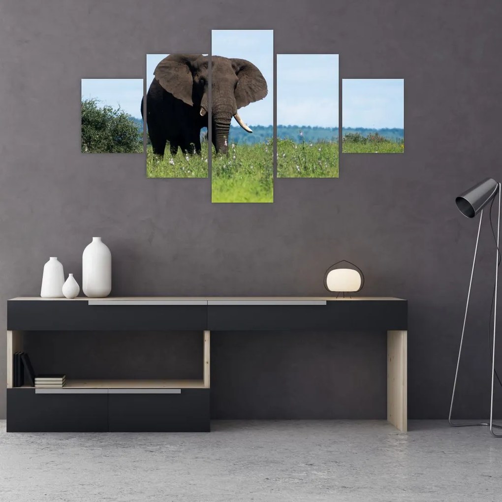 Tablou cu elefant (125x70 cm), în 40 de alte dimensiuni noi