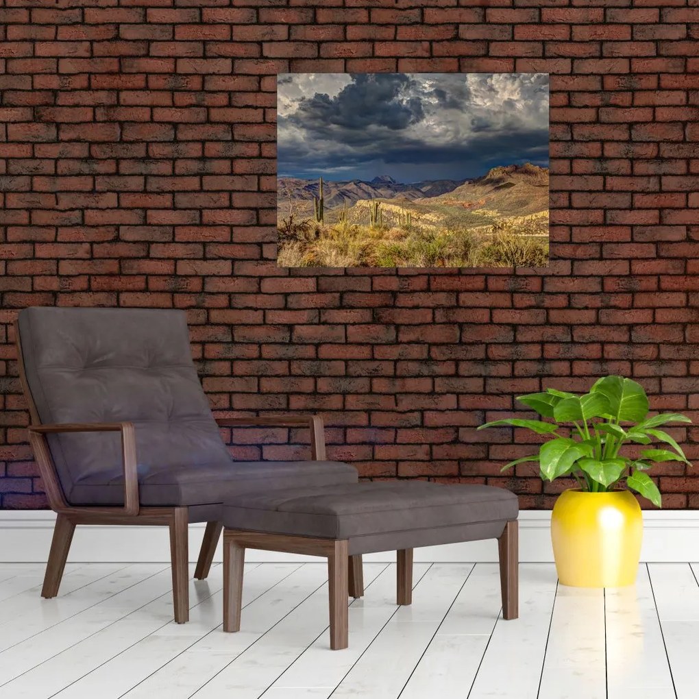 Tablou pe sticlă - cactușii în natură (70x50 cm)