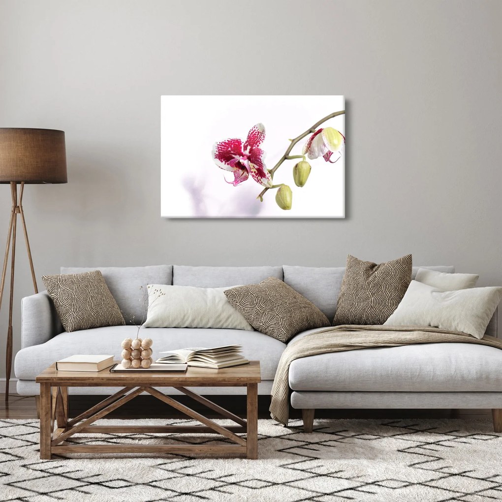 Tablou cu floarea de orhidee (90x60 cm)
