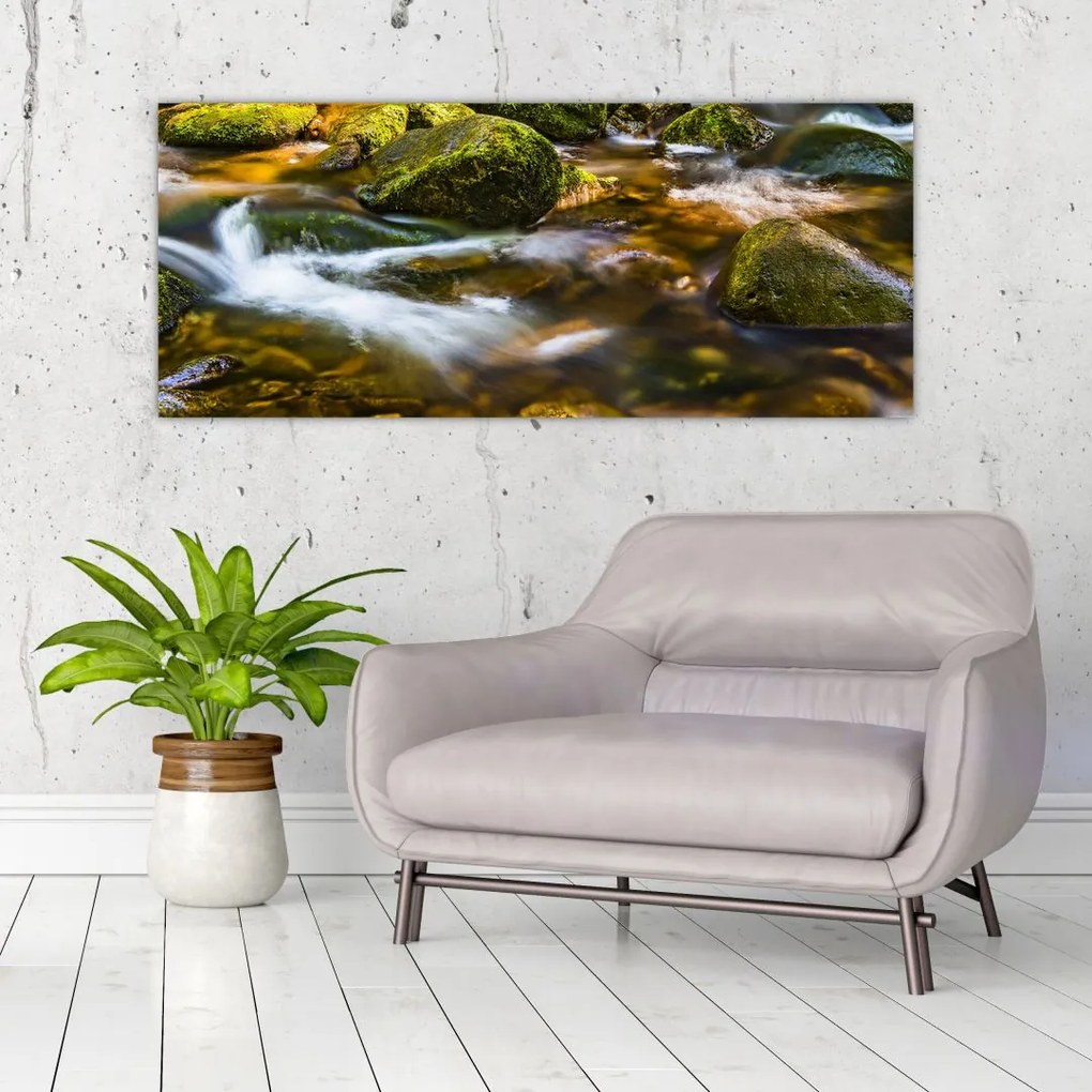 Tablou cu părâu (120x50 cm)
