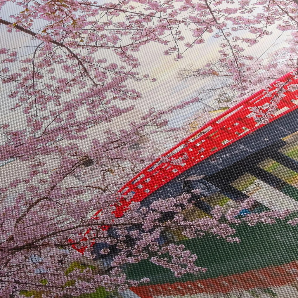 Tablou - Hirosaki, Japonia (150x105 cm)
