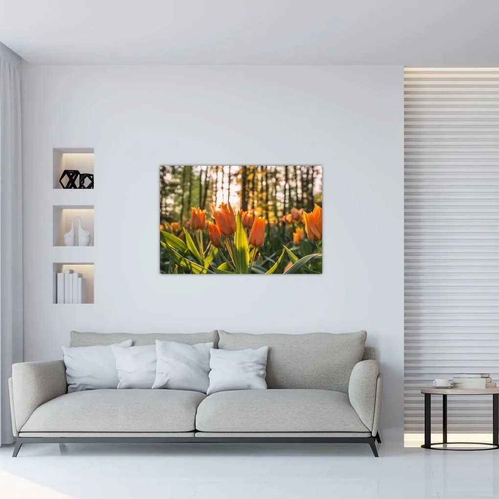 Tablou - florile lalelelor (90x60 cm)