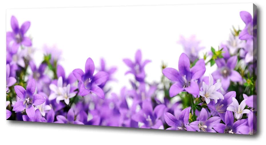 Tablouri tipărite pe pânză Clopote violet