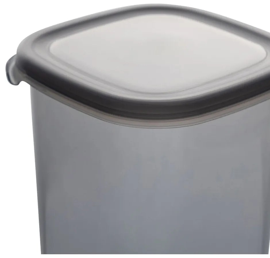 Recipiente 6 buc. pentru alimente Fresco – Hermia