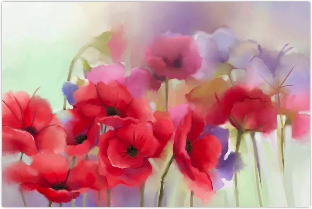 Tablou - Maci (90x60 cm)