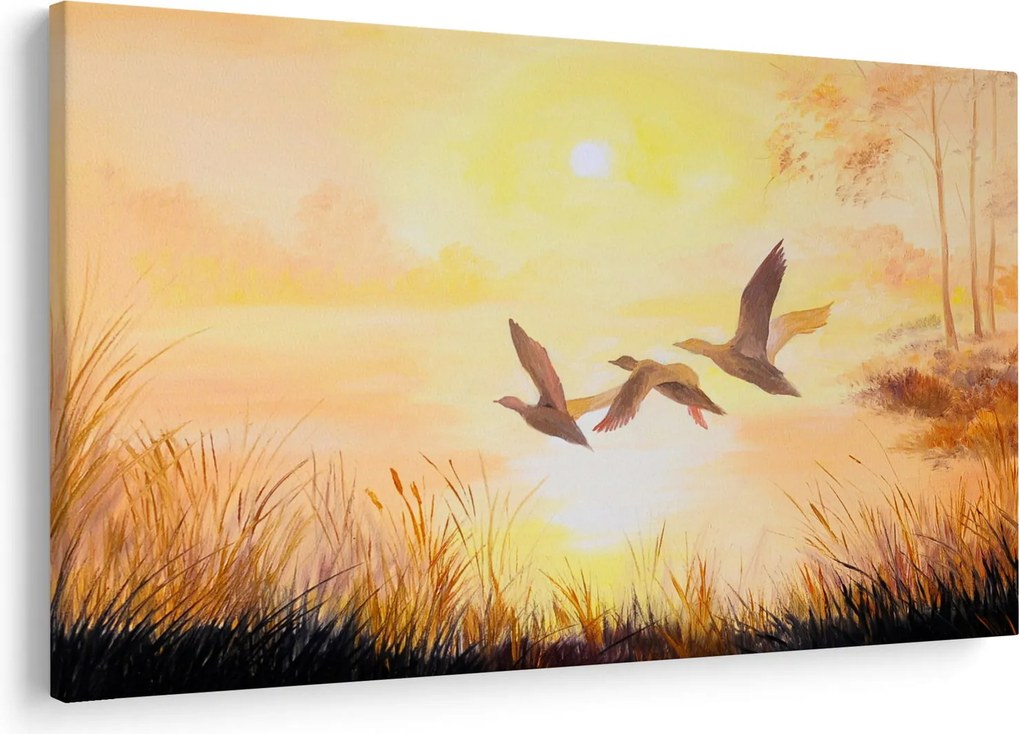 Tablou - Macarale la apus de soare (90x60 cm)