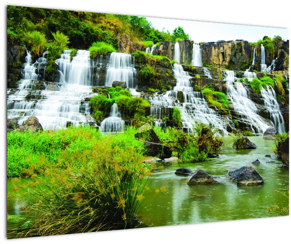 Tablou - cascade cu plante (90x60 cm)