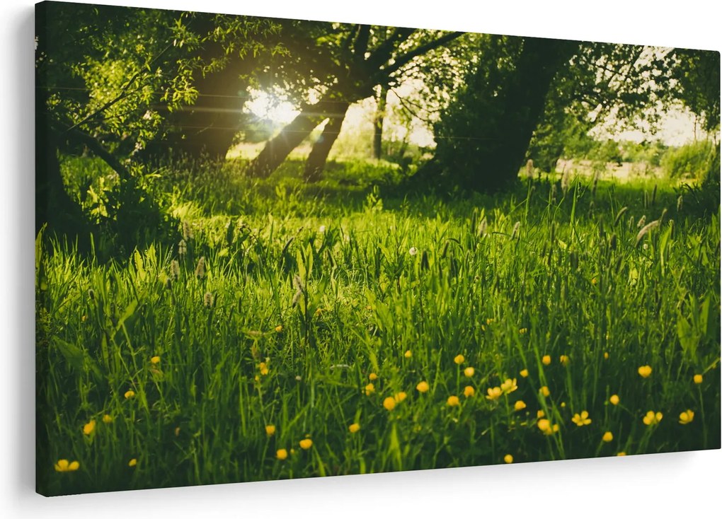 Tablou cu natura - lunca (90x60 cm)