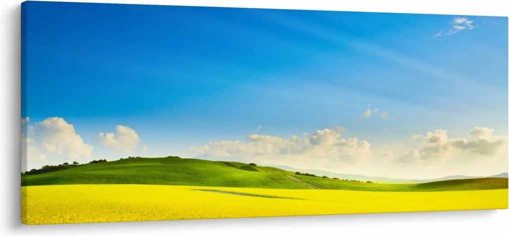 Tablou - Cerul de primăvară (120x50 cm)