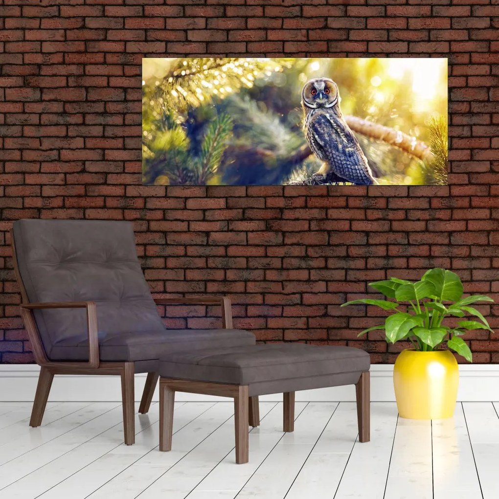 Tablou - Bufniță în copac (120x50 cm)