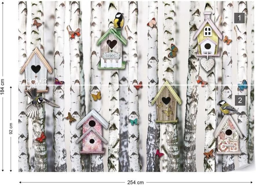 Fototapet GLIX - Birch Trees And Birdhouses Vintage Chic + adeziv GRATUIT Tapet nețesute - 254x184 cm