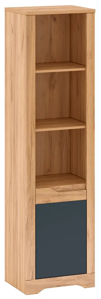 Raft deschis, stejar craft auriu / gri grafit, dreapta, FIDEL R2