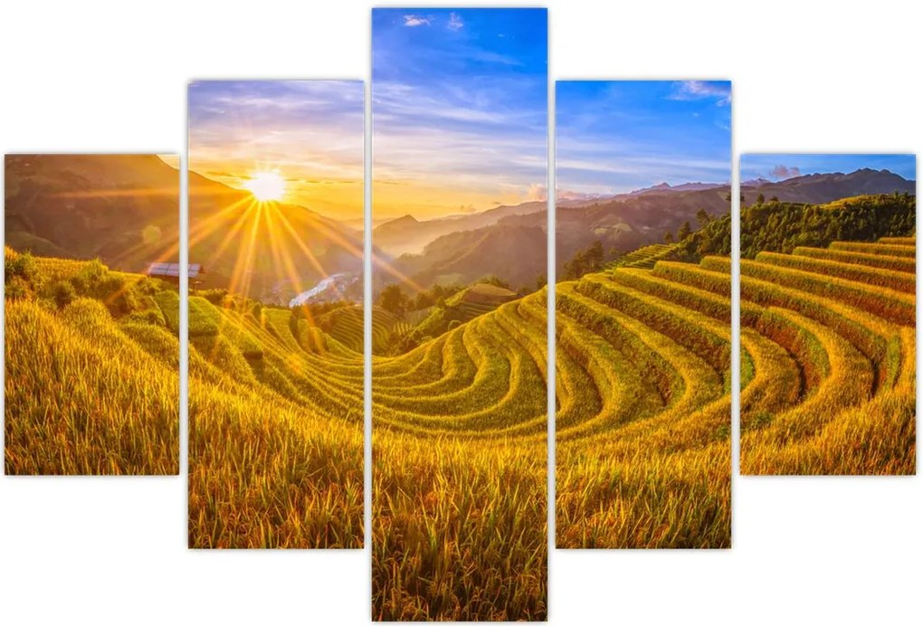 Tablou - Terasele de orez din Vietnam (150x105 cm)