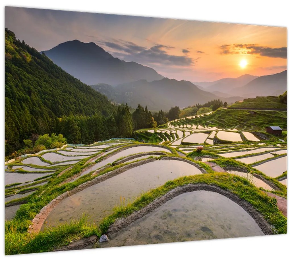 Tablou - Terase de orez (70x50 cm)