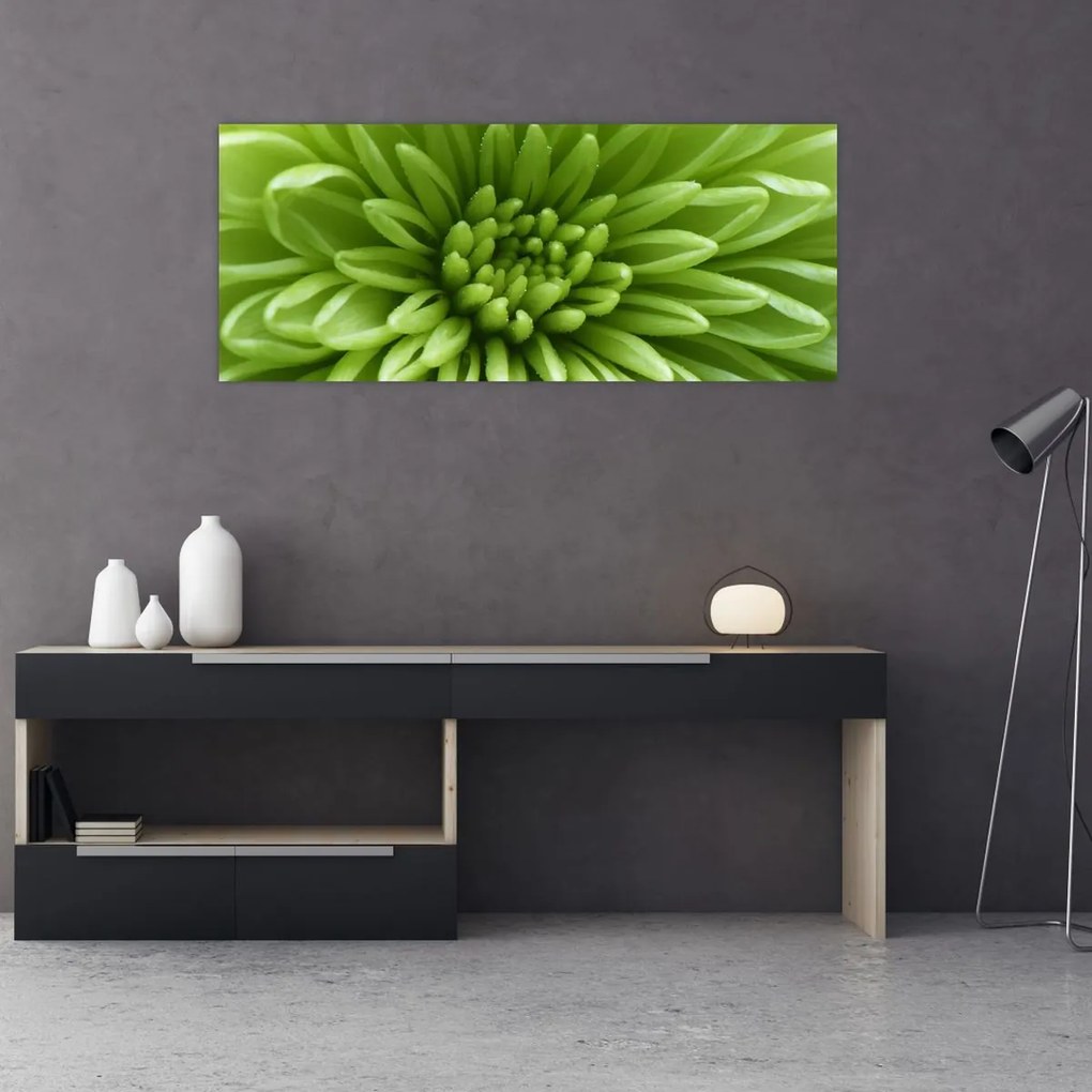 Tablou - Imagine macro a unei plante (120x50 cm)