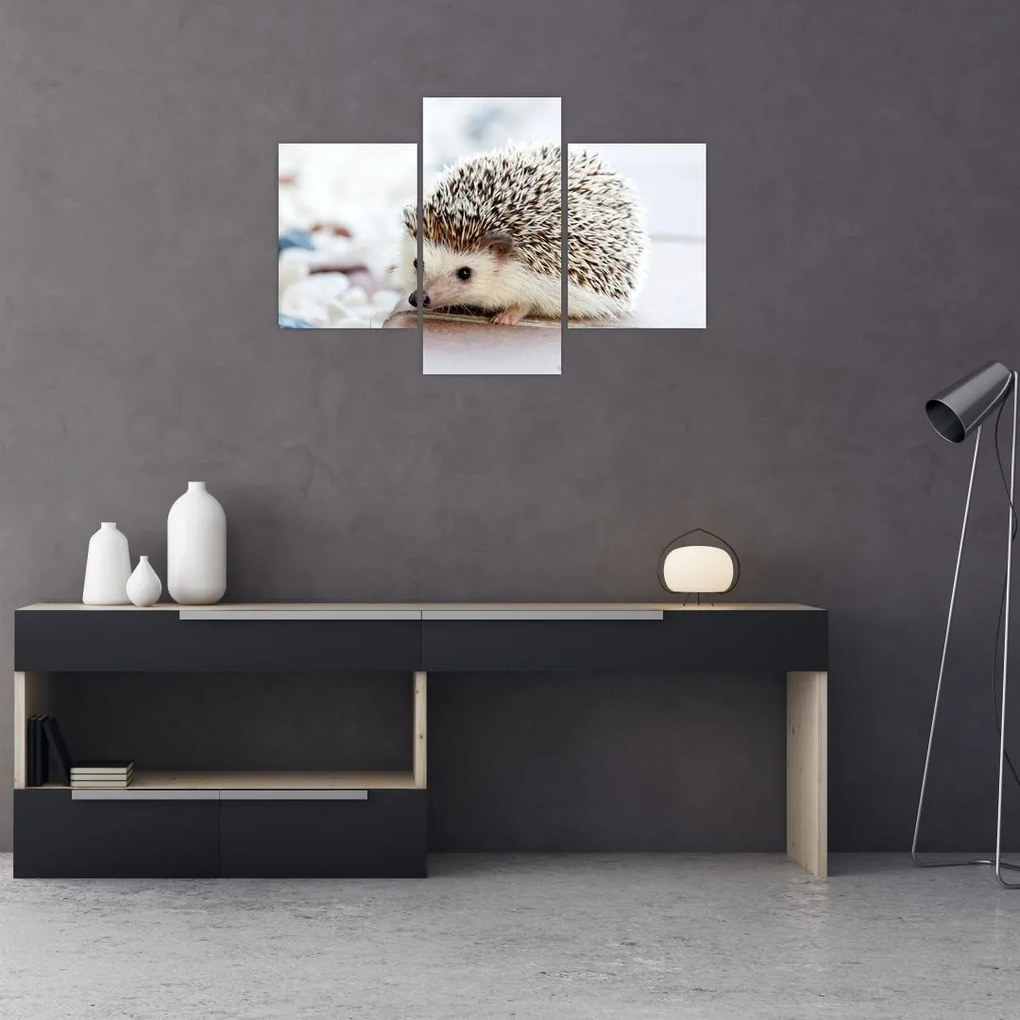 Tablou cu arici (90x60 cm)