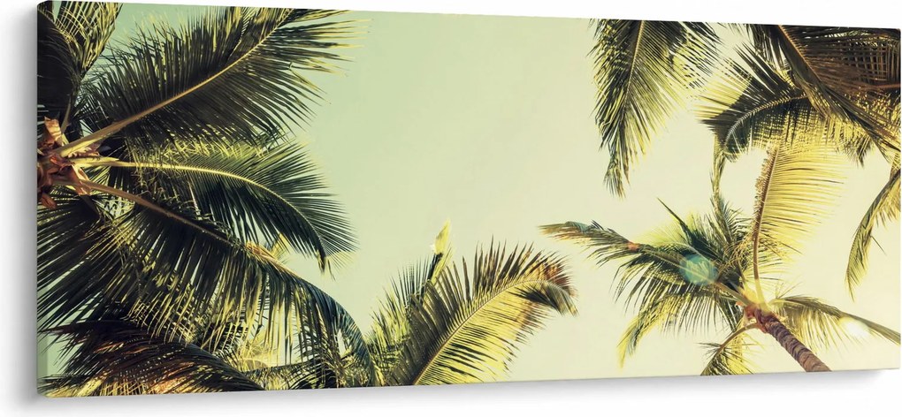 Tablou - Palmieri de cocos (120x50 cm)