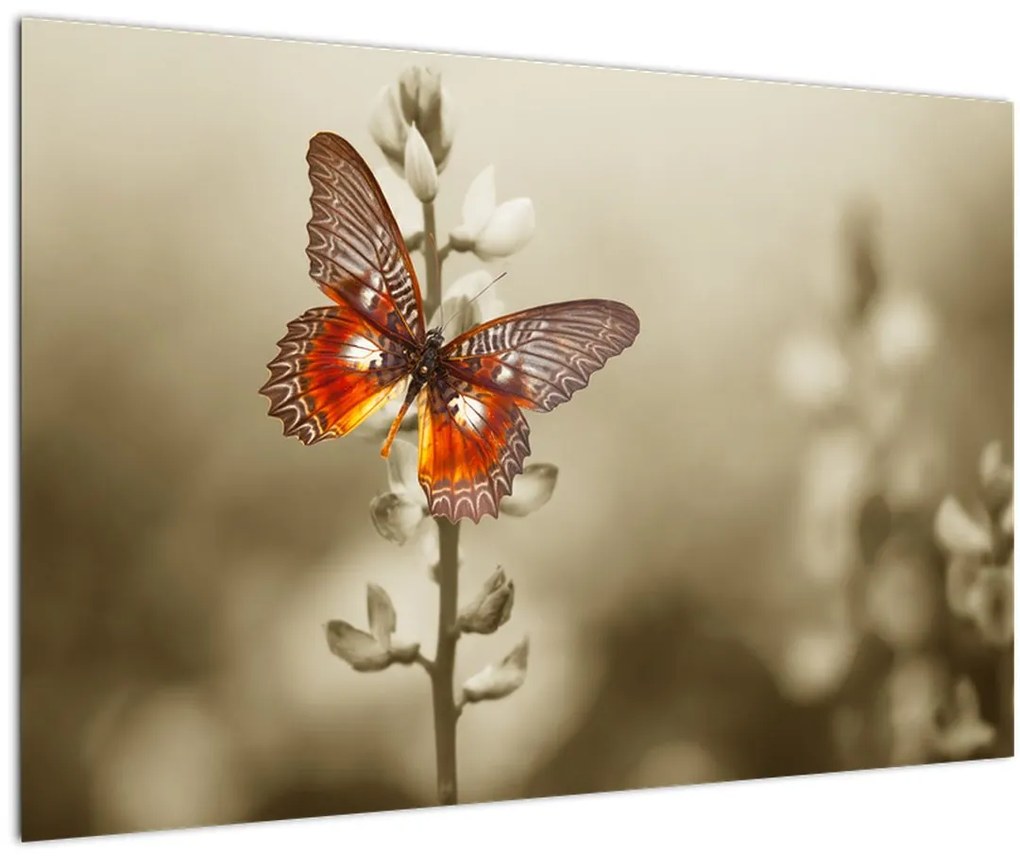 Tablou cu fluture (90x60 cm)