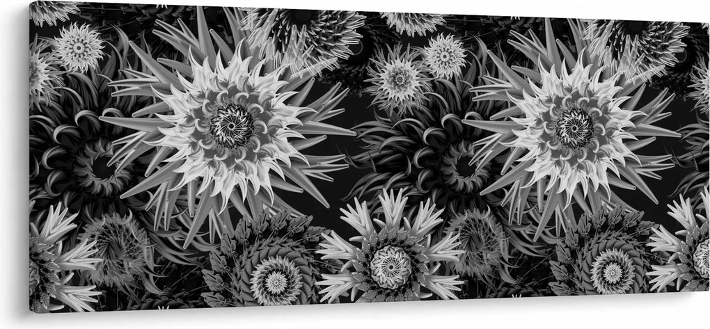 Tablou - Ciulini negri și albi (120x50 cm)