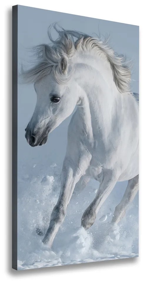 Tablou pe pânză canvas Cal alb în galop