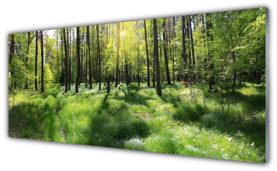 Tablouri acrilice Natural Pădurea Verde Maro