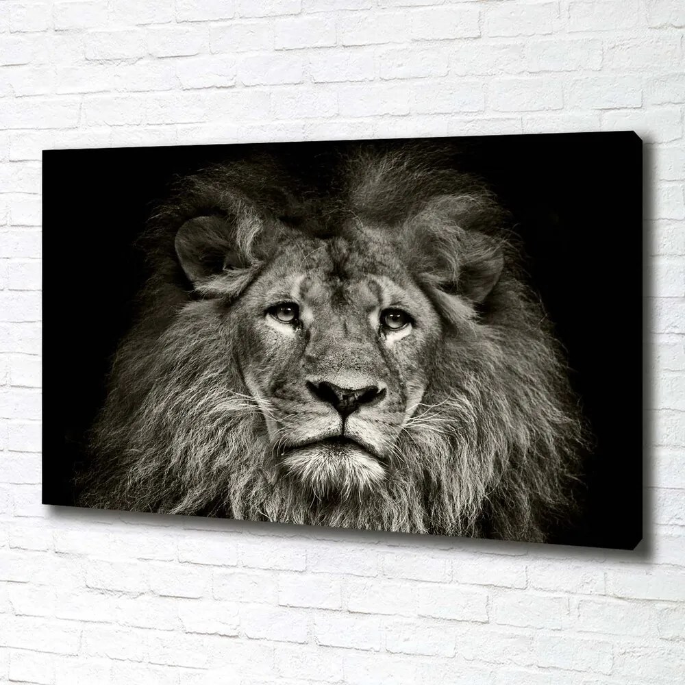 Imprimare tablou canvas Leu