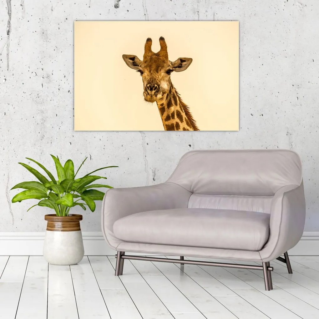 Tablou cu girafe (90x60 cm)