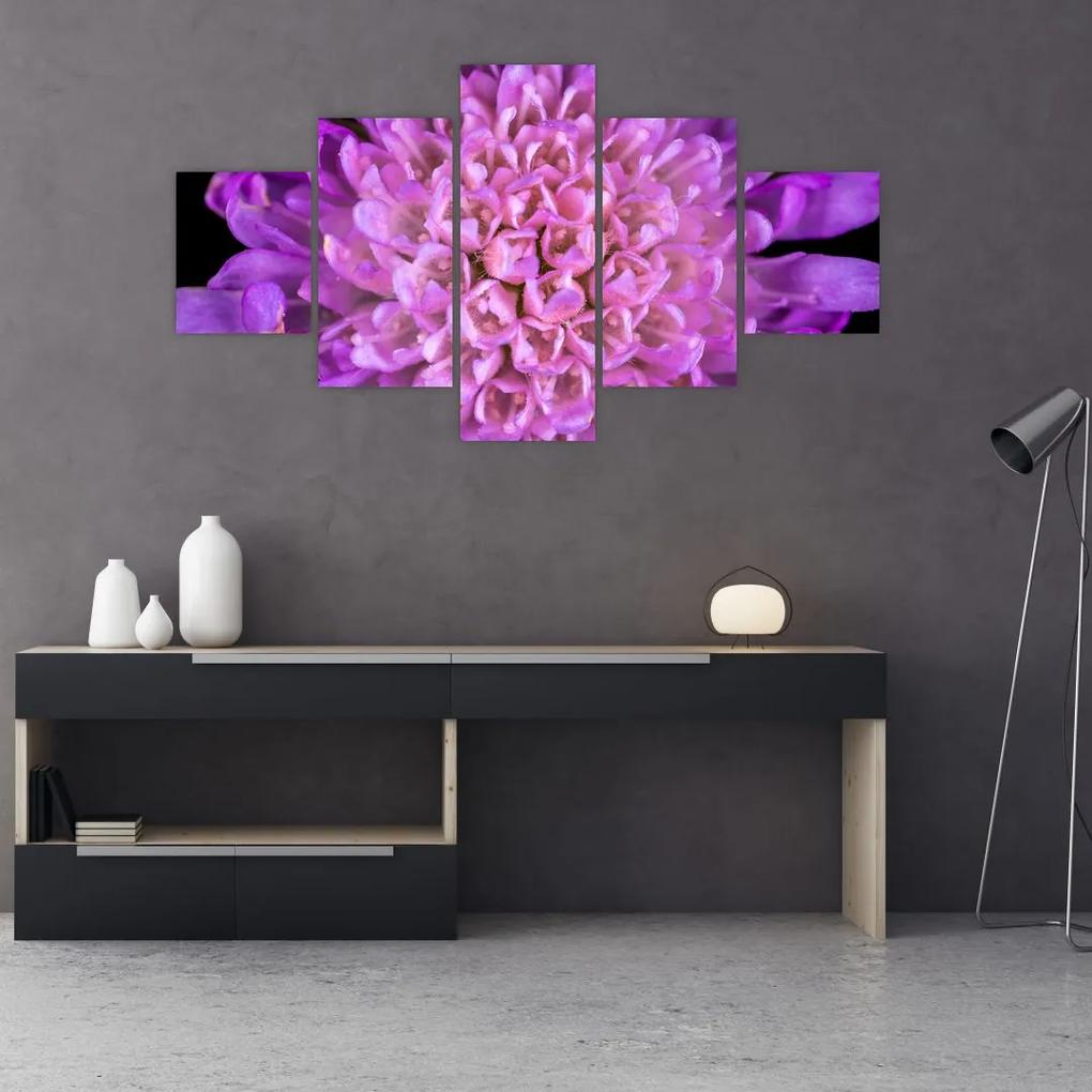 Tablou detailat cu floare (125x70 cm), în 40 de alte dimensiuni noi
