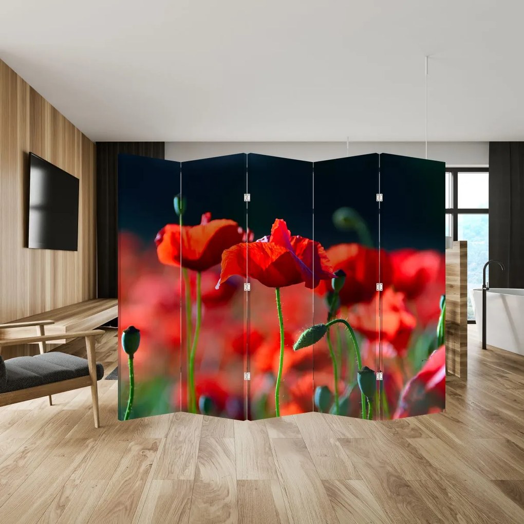 Paravan - Flori de maci (210x170 cm)
