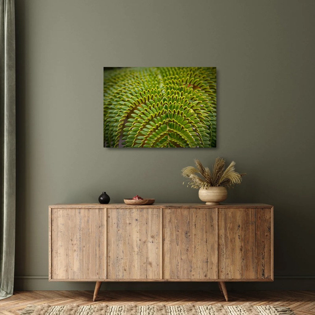 Tablou pe sticlă - Fern (70x50 cm)