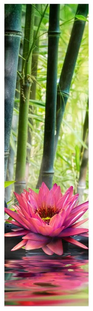 Fotojaluzele R012051R42150 (42x150 cm)