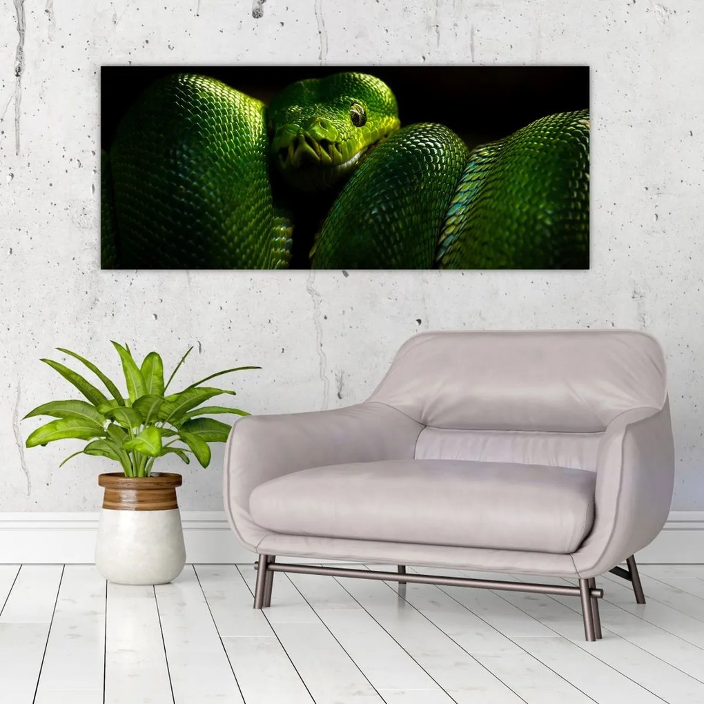 Tablou - Șarpele verde (120x50 cm)