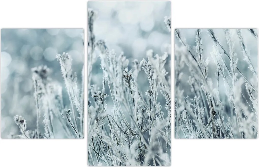 Tablou - Magia iernii (90x60 cm)