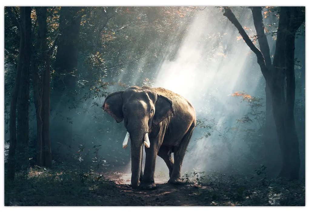 Tablou cu elefant în djunglă (90x60 cm)