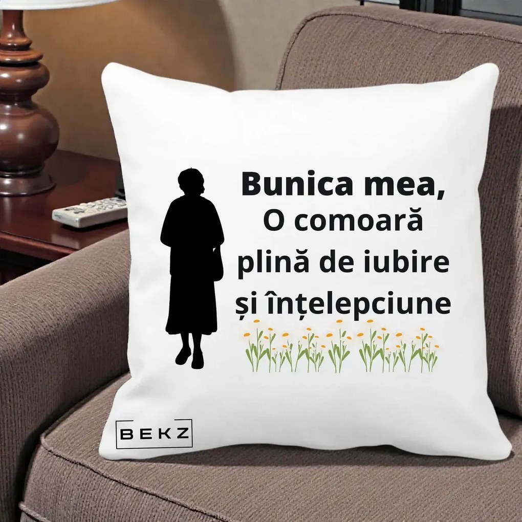 Cadou pentru Bunica - Perna Personalizata Bunica Mea Comoara Iubire Intelepciune Silueta cu Nepoata, 40x40 cm, Alba Mata, Husa Detasabila, Perna Inclusa, BEKZ®