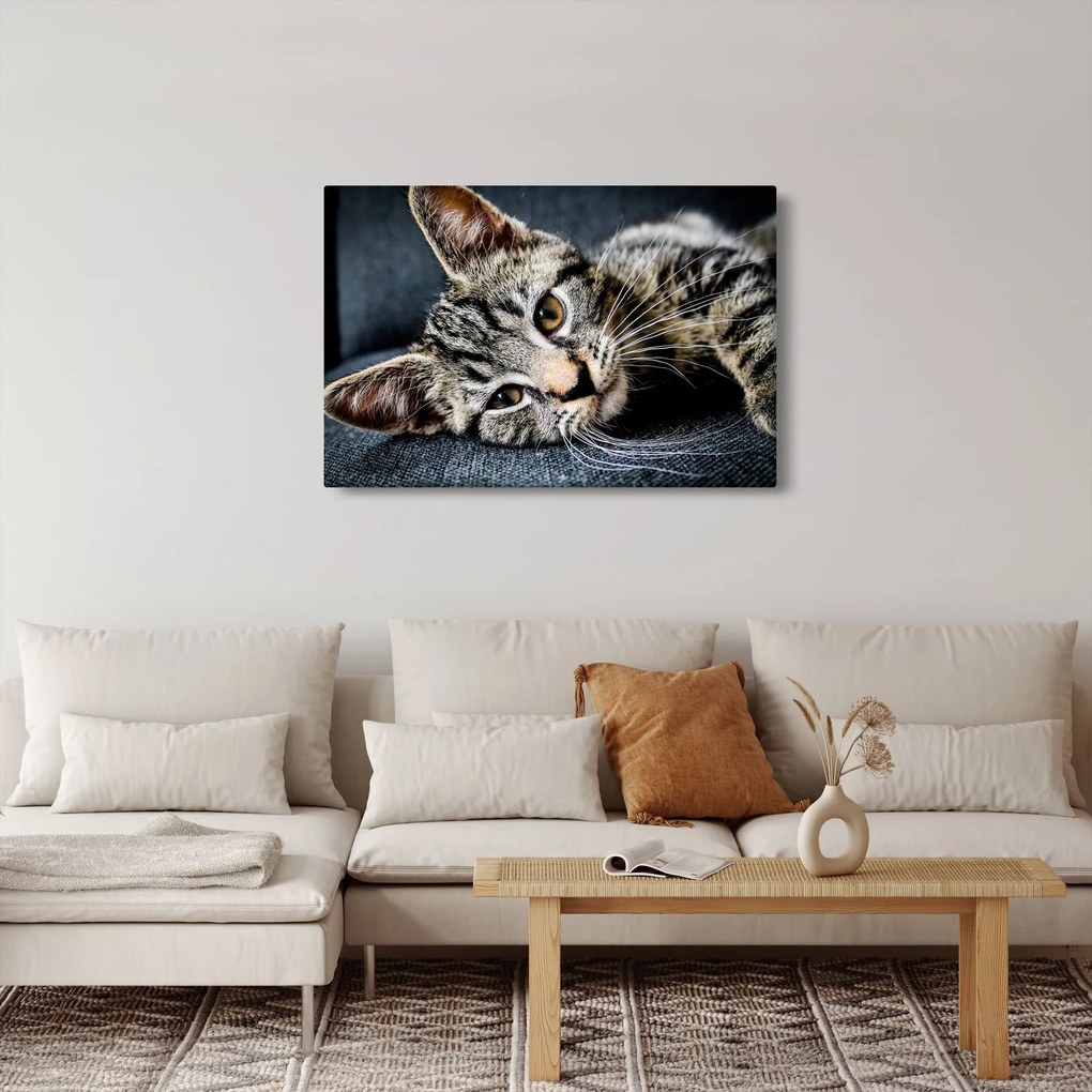 Tablou - Pisoi (90x60 cm)