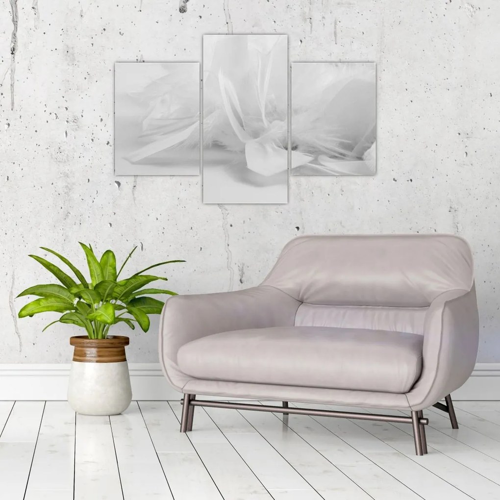 Tablou - Pene (90x60 cm)