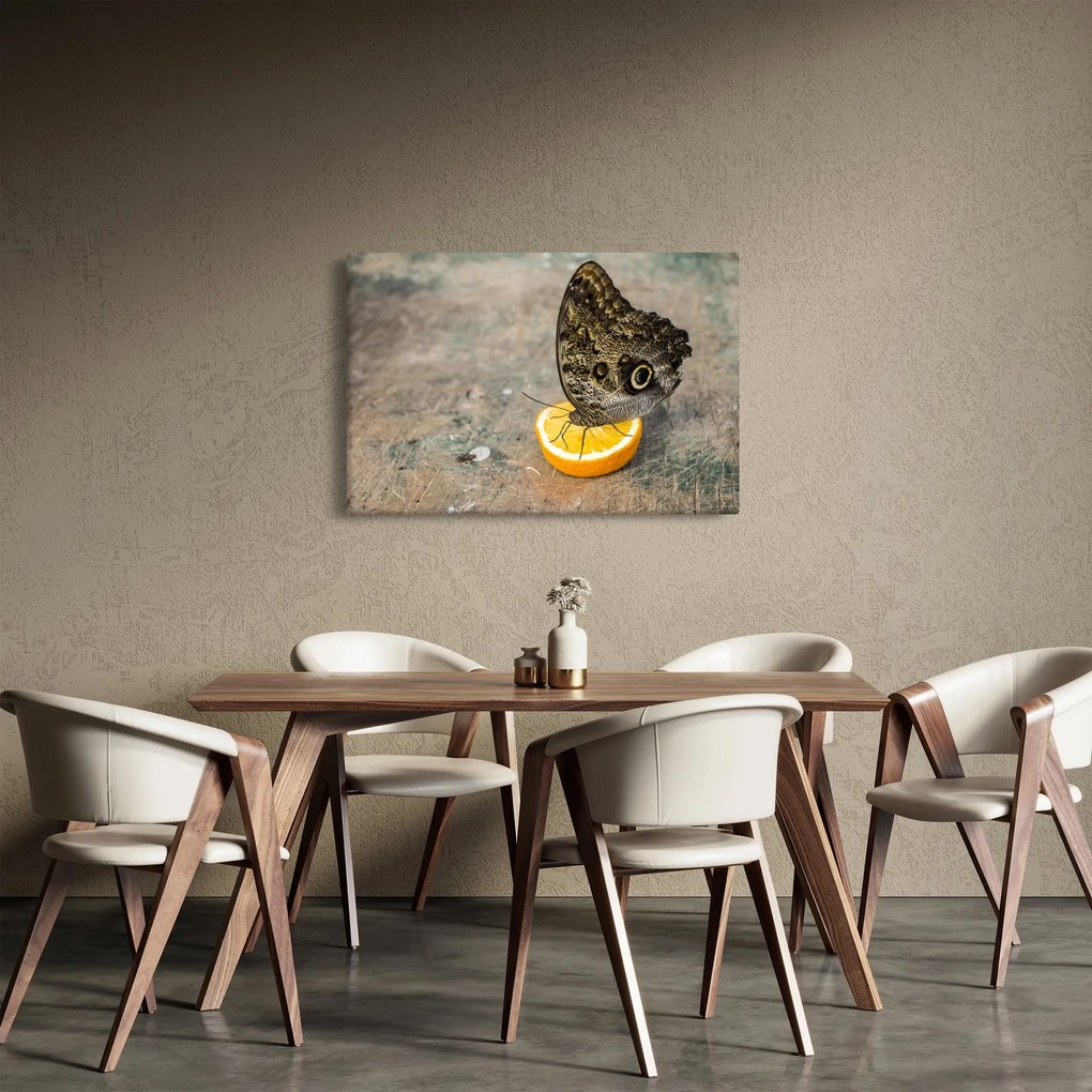 Tablou cu fluturi (90x60 cm)
