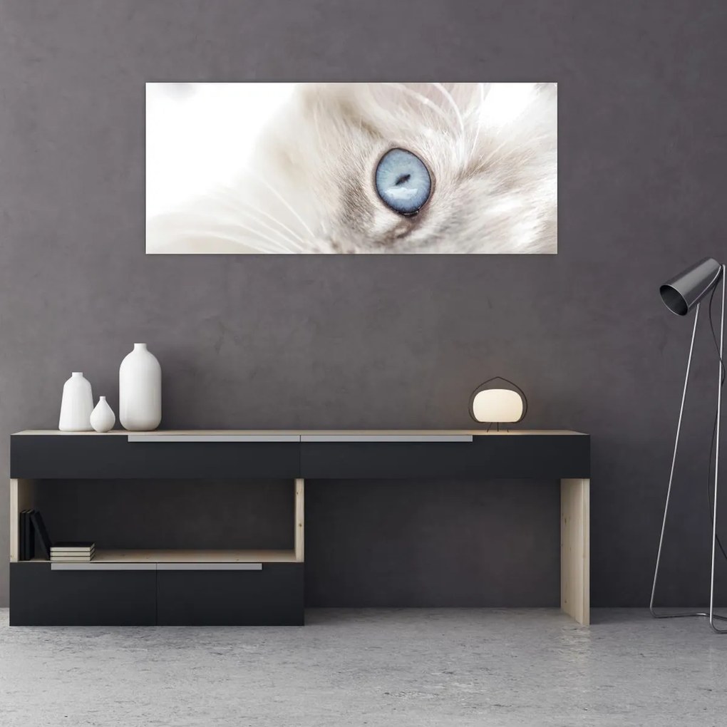 Tablou - Pisica cu ochi albaștri (120x50 cm)